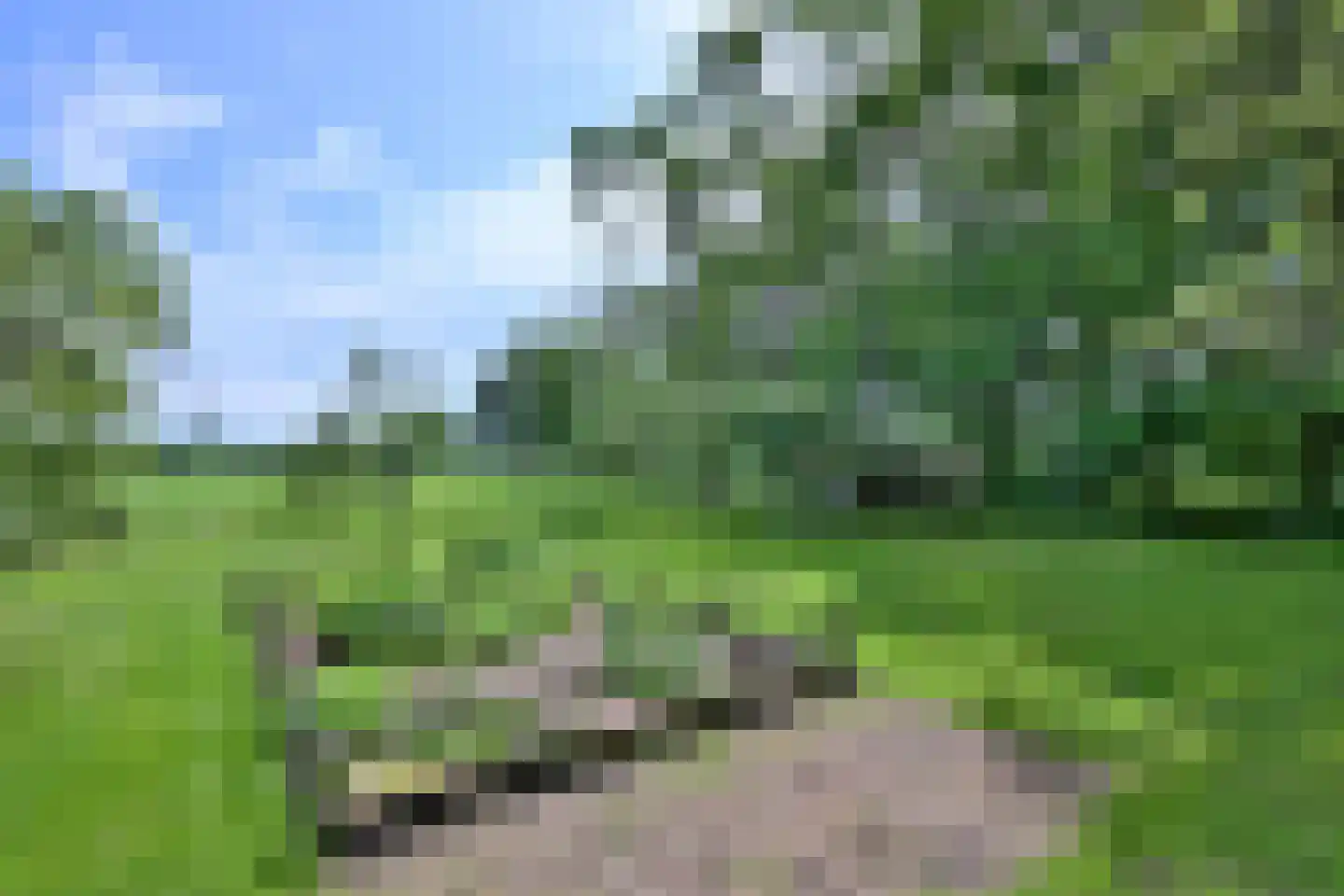 Lochemseweg 70 Joppe thumbnail 56