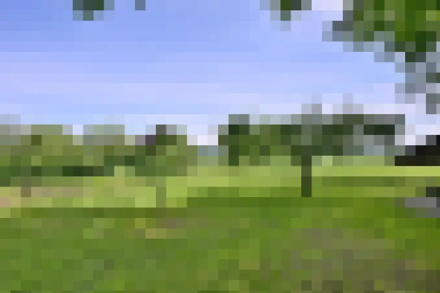Lochemseweg 70 Joppe thumbnail 57