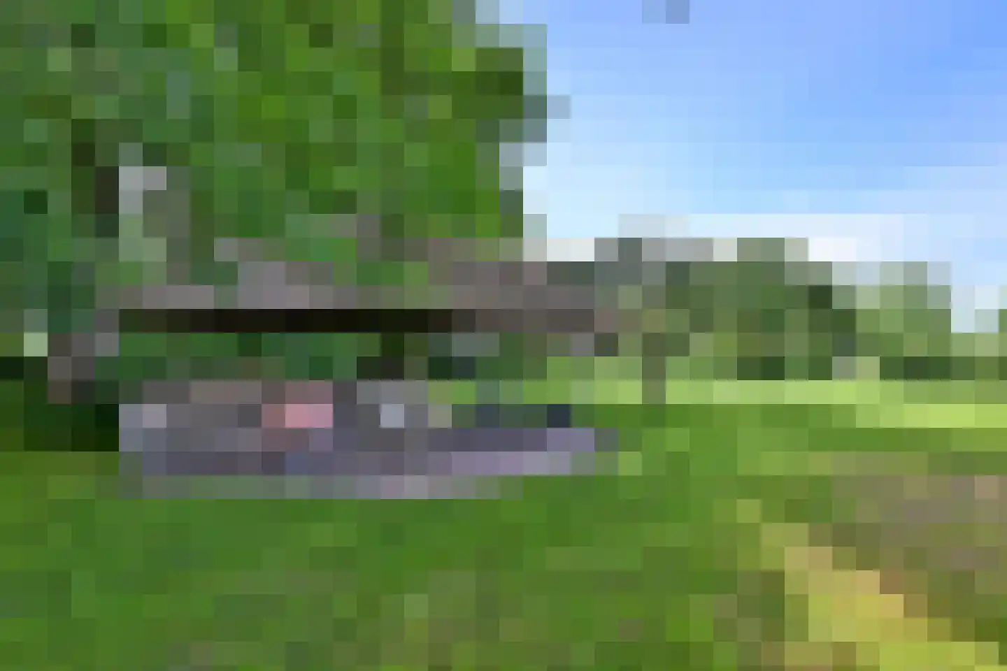 Lochemseweg 70 Joppe thumbnail 58