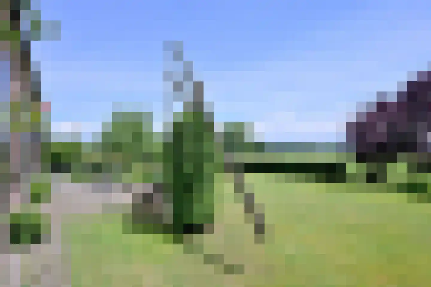 Lochemseweg 70 Joppe thumbnail 6
