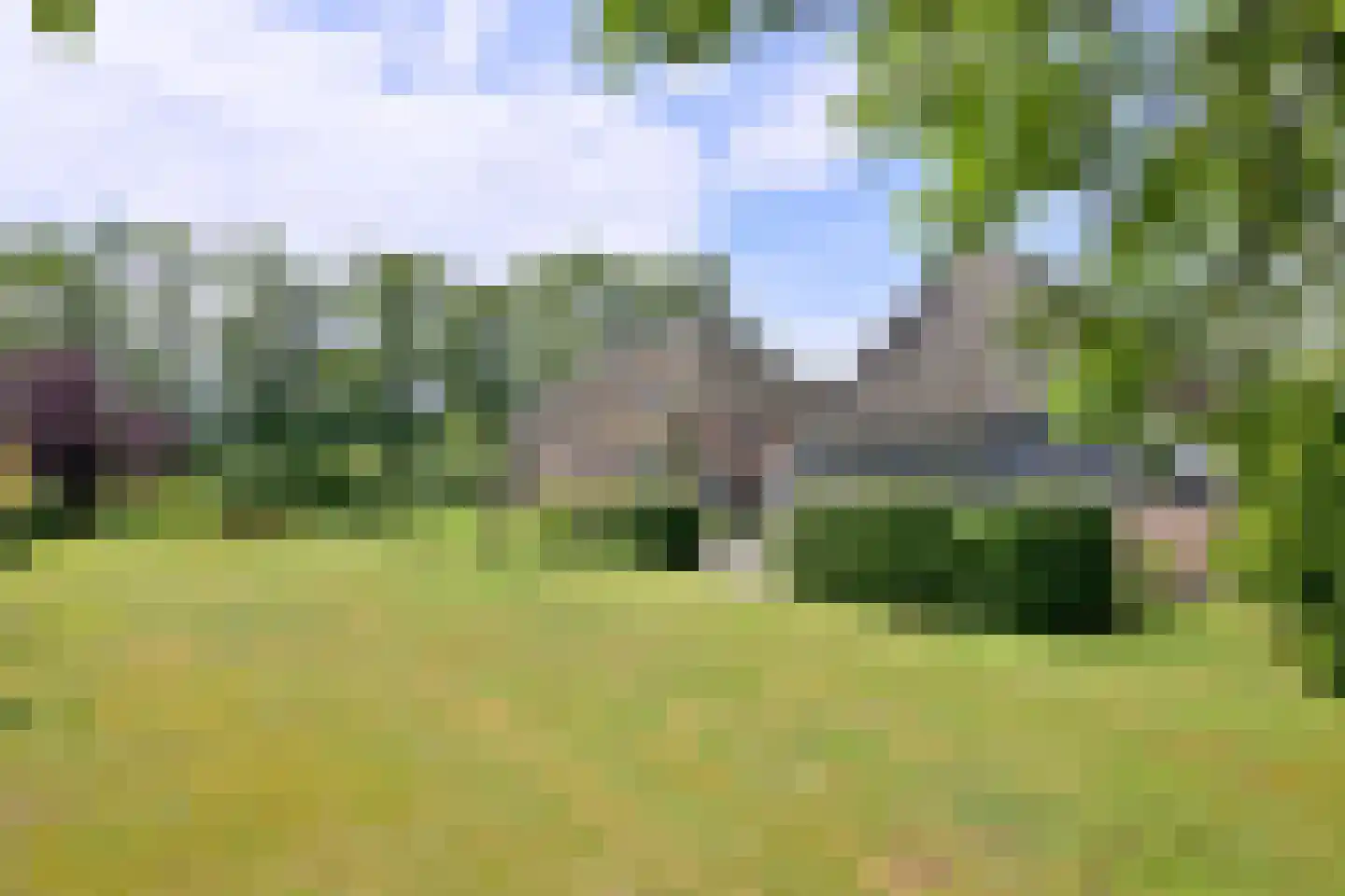 Lochemseweg 70 Joppe thumbnail 60