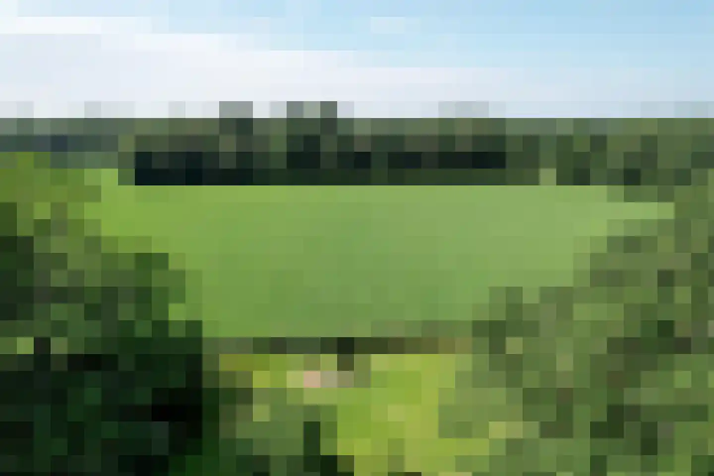 Lochemseweg 70 Joppe thumbnail 61