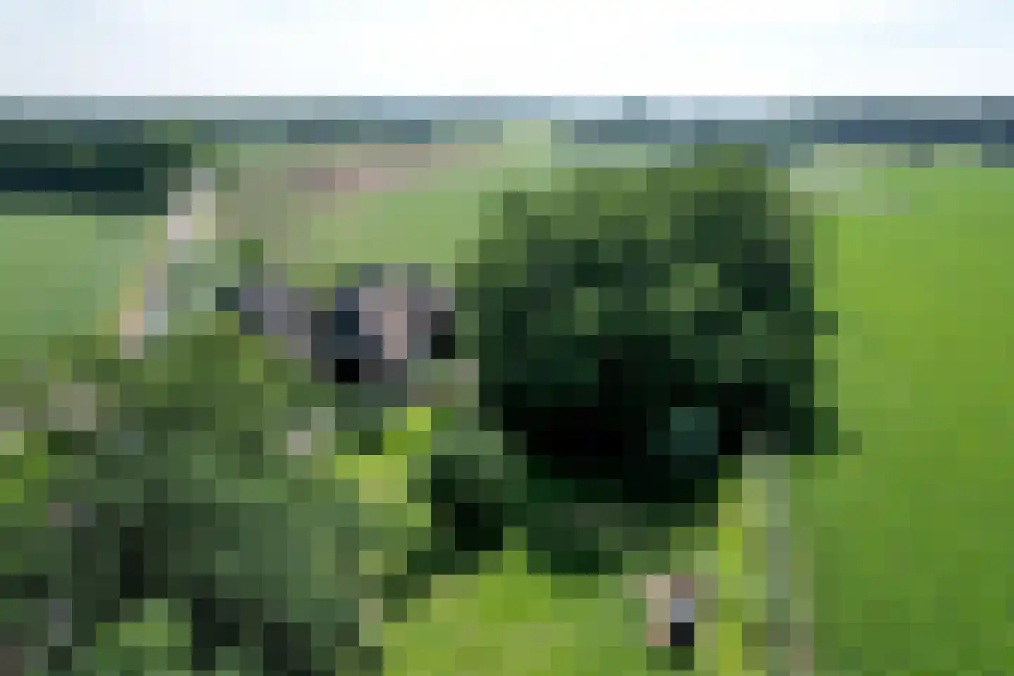 Lochemseweg 70 Joppe thumbnail 62