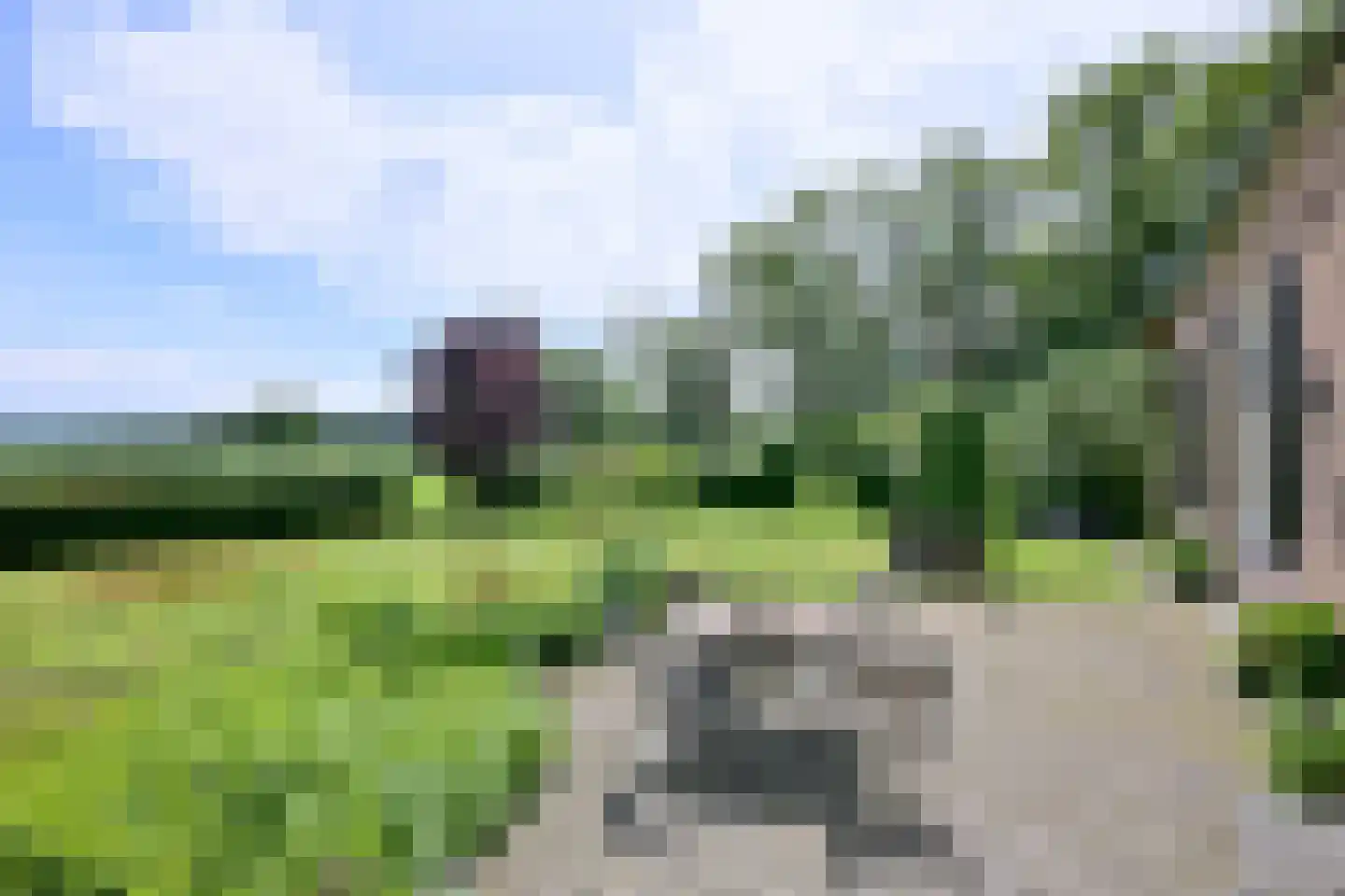 Lochemseweg 70 Joppe thumbnail 7