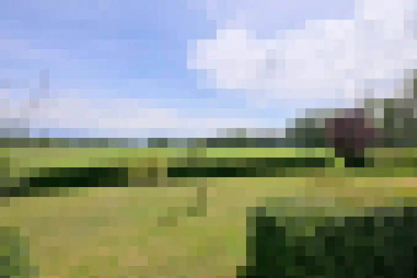 Lochemseweg 70 Joppe thumbnail 8