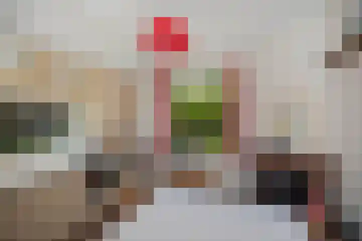 Lochemseweg 90 Harfsen thumbnail 10