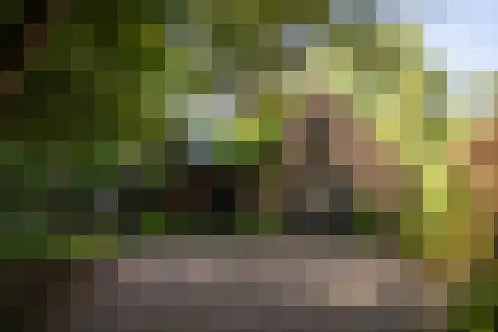 Lochemseweg 90 Harfsen thumbnail 34