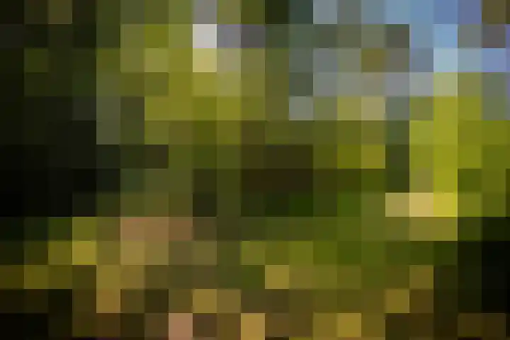 Lochemseweg 90 Harfsen thumbnail 37