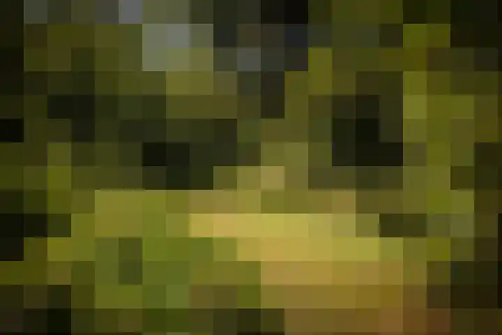 Lochemseweg 90 Harfsen thumbnail 39