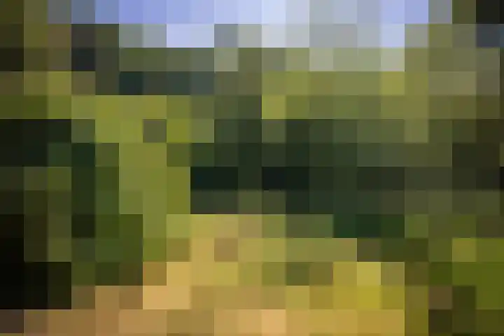 Lochemseweg 90 Harfsen thumbnail 40