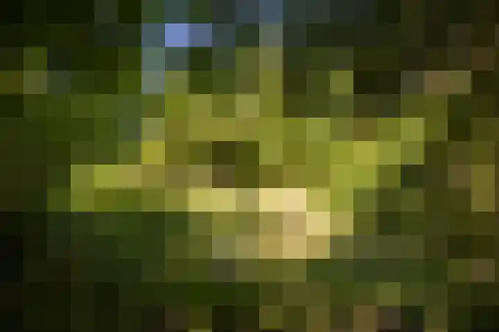 Lochemseweg 90 Harfsen thumbnail 41