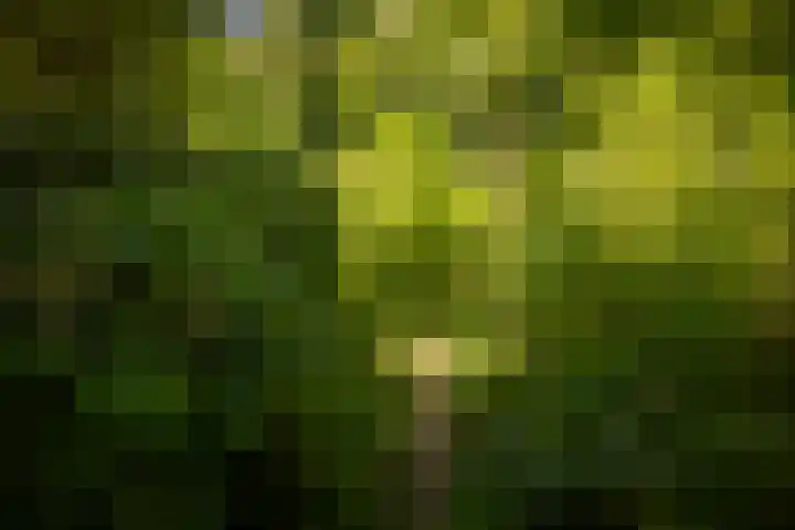 Lochemseweg 90 Harfsen thumbnail 42