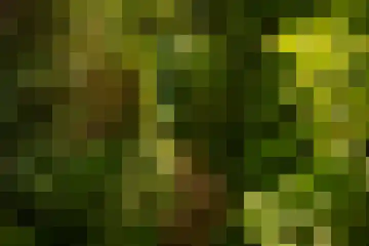 Lochemseweg 90 Harfsen thumbnail 43