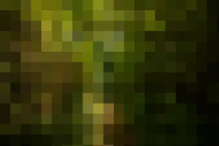 Lochemseweg 90 Harfsen thumbnail 44