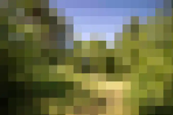 Lochemseweg 90 Harfsen thumbnail 48
