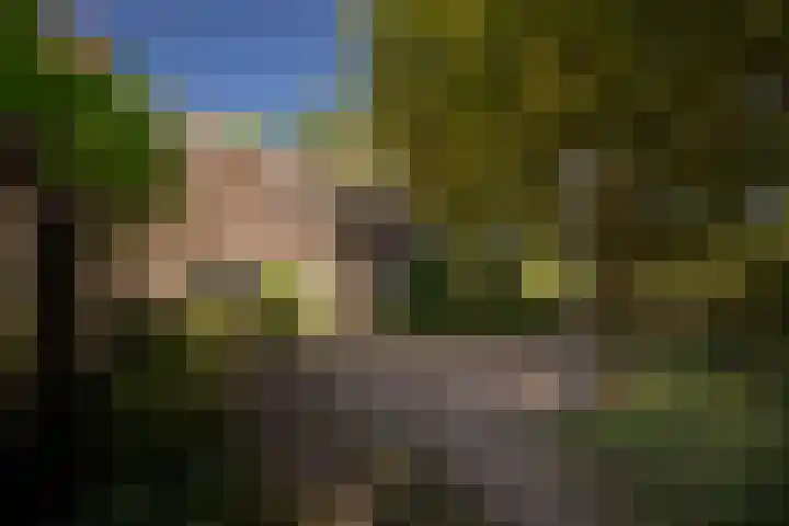 Lochemseweg 90 Harfsen thumbnail 49