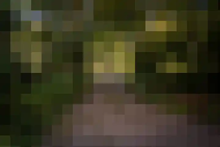 Lochemseweg 90 Harfsen thumbnail 50