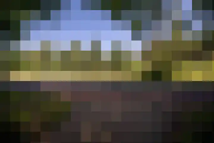 Lochemseweg 90 Harfsen thumbnail 52