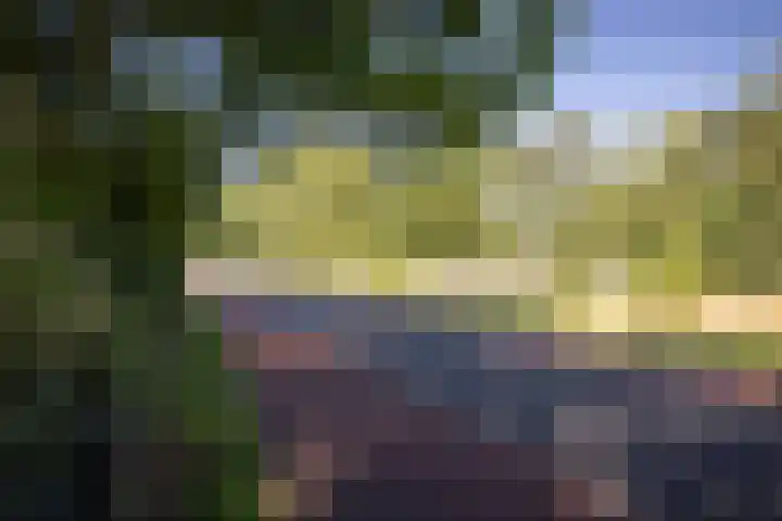 Lochemseweg 90 Harfsen thumbnail 53