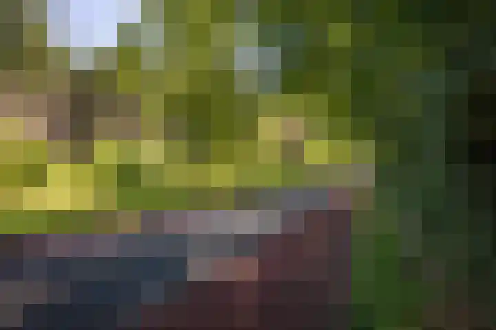 Lochemseweg 90 Harfsen thumbnail 54