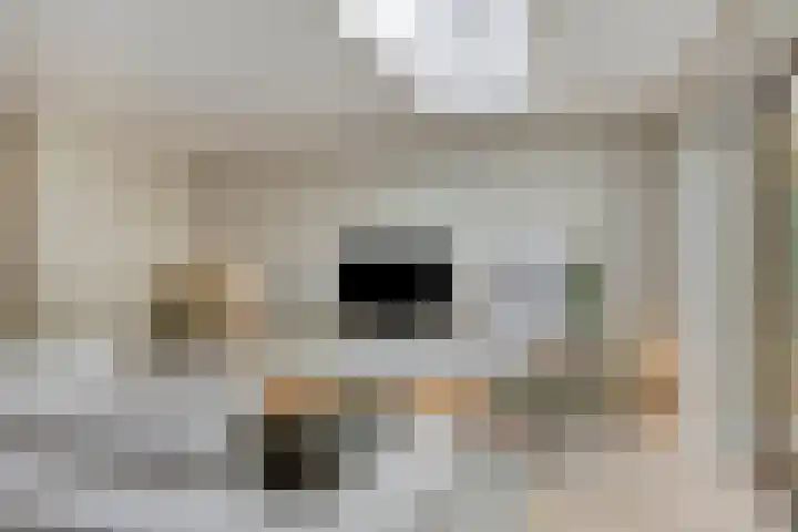 Lochemstraat 32 Eindhoven thumbnail 12