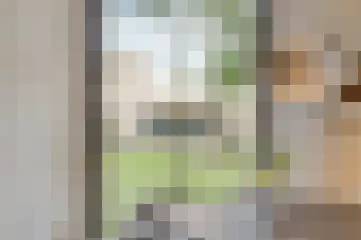Lochemstraat 32 Eindhoven thumbnail 18