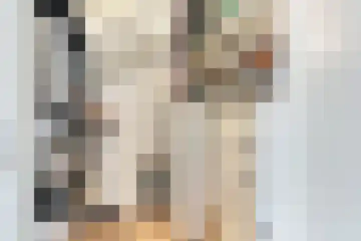 Lochemstraat 32 Eindhoven thumbnail 19