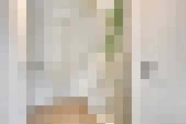 Lochemstraat 32 Eindhoven thumbnail 20