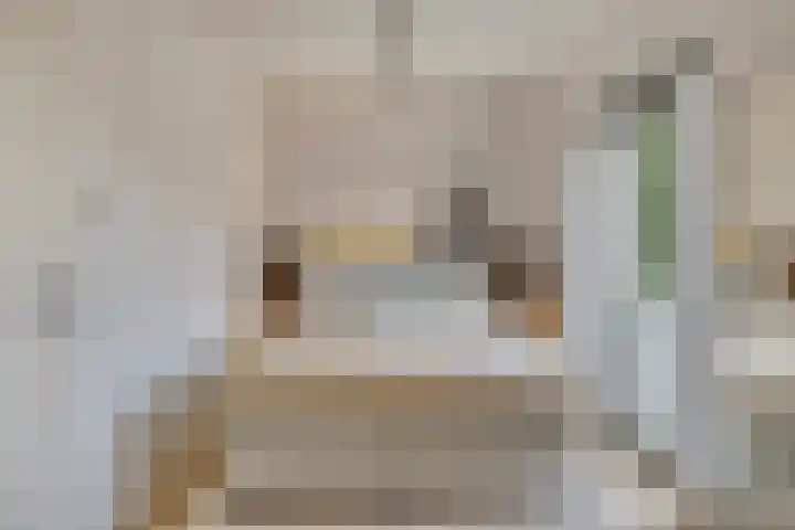 Lochemstraat 32 Eindhoven thumbnail 22