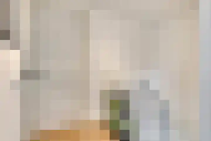 Lochemstraat 32 Eindhoven thumbnail 29