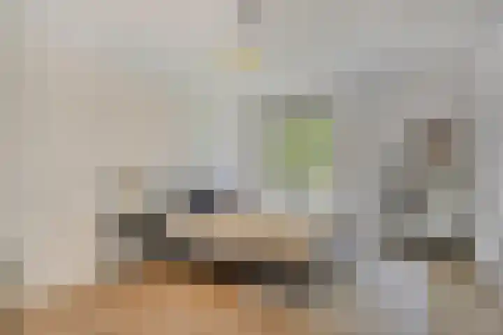 Lochemstraat 32 Eindhoven thumbnail 30