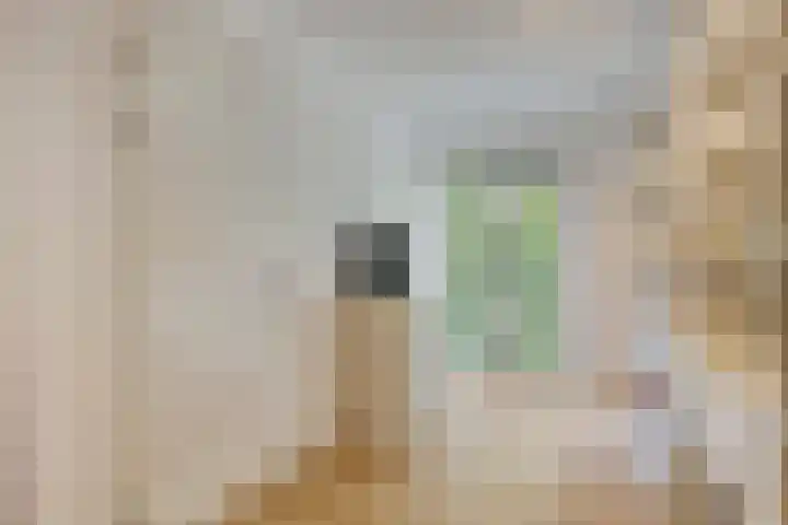 Lochemstraat 32 Eindhoven thumbnail 32