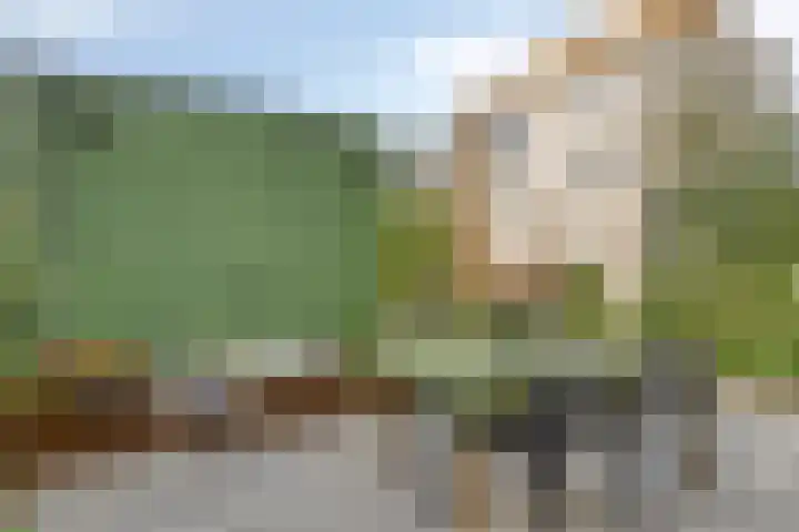 Lochemstraat 32 Eindhoven thumbnail 34