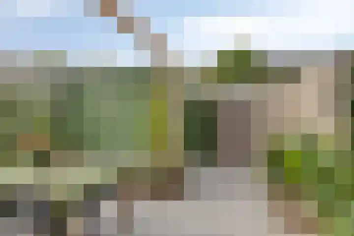 Lochemstraat 32 Eindhoven thumbnail 35