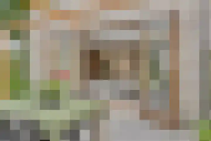 Lochemstraat 32 Eindhoven thumbnail 36