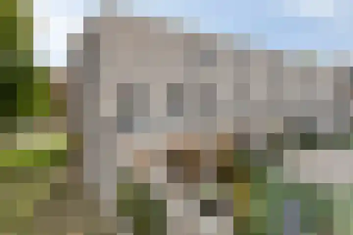 Lochemstraat 32 Eindhoven thumbnail 37