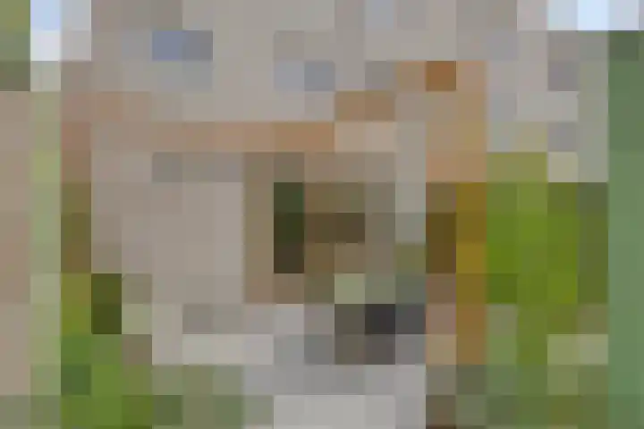 Lochemstraat 32 Eindhoven thumbnail 6