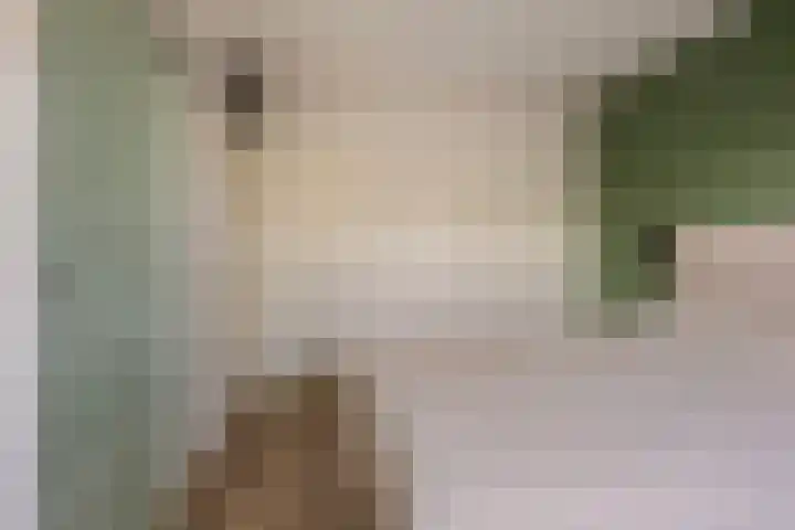 Lochemstraat 85 Tilburg thumbnail 22