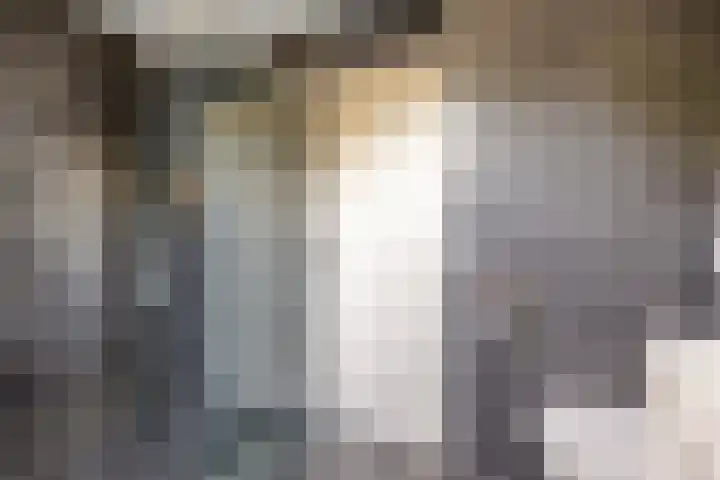 Lochemstraat 85 Tilburg thumbnail 33