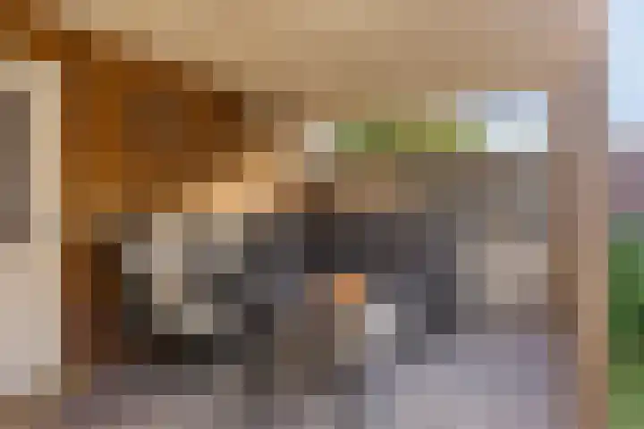 Lochemstraat 85 Tilburg thumbnail 46