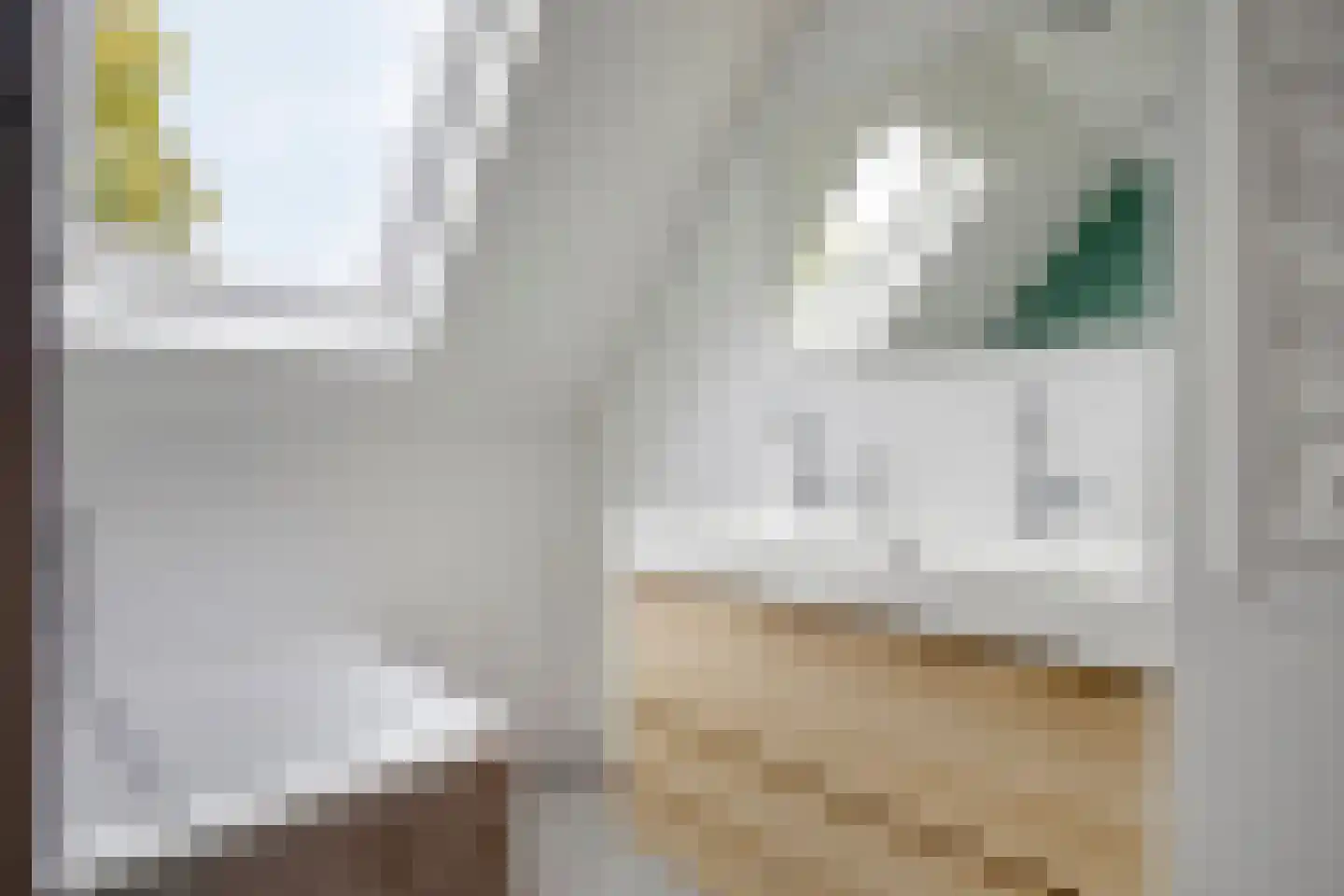 Lochemstraat 93 Tilburg thumbnail 22