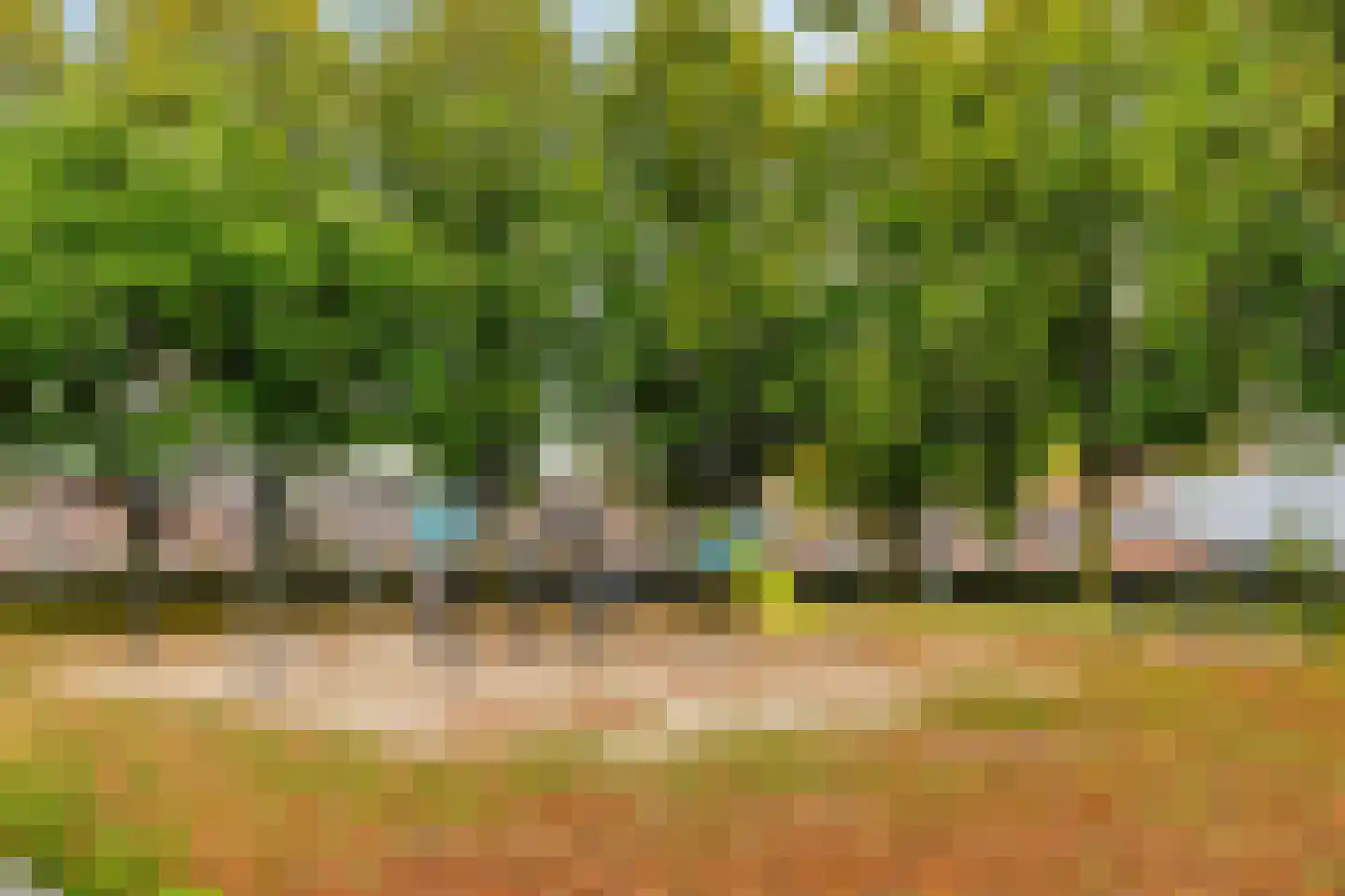 Lochemstraat 93 Tilburg thumbnail 36