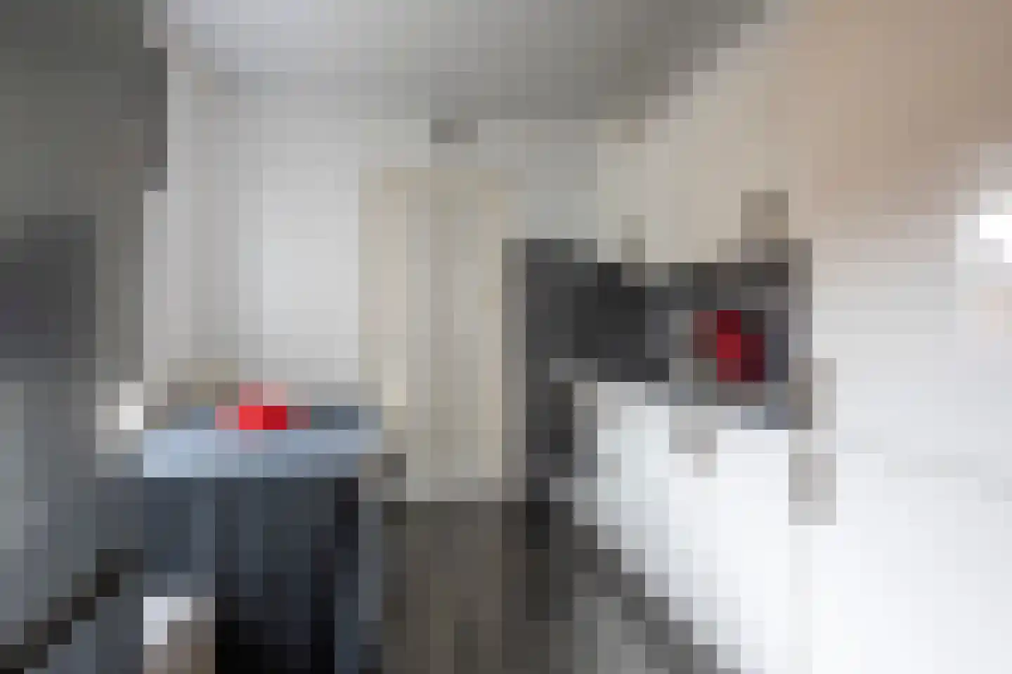 Locht 137 Kerkrade thumbnail 7