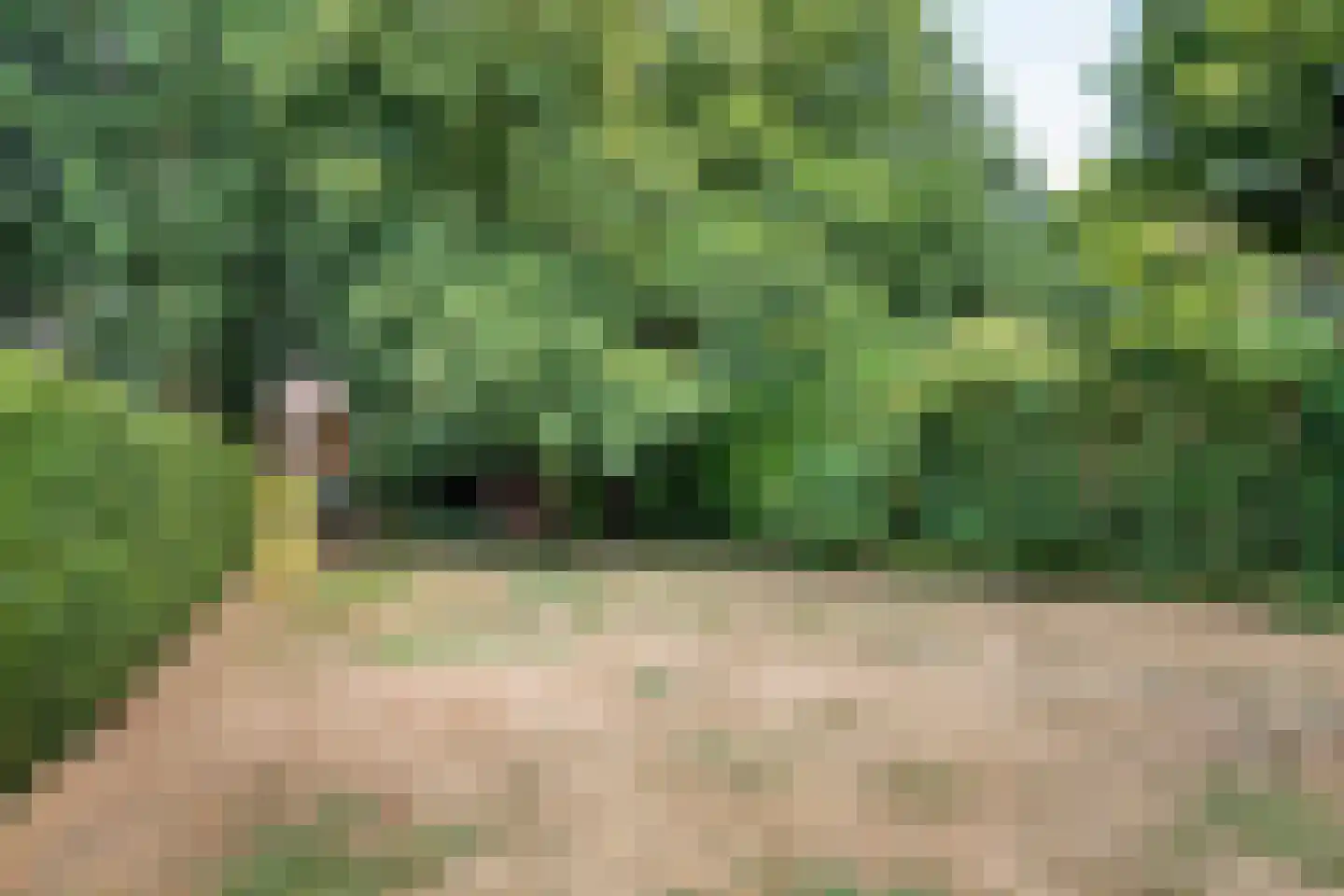 Locht 34 Veldhoven thumbnail 41