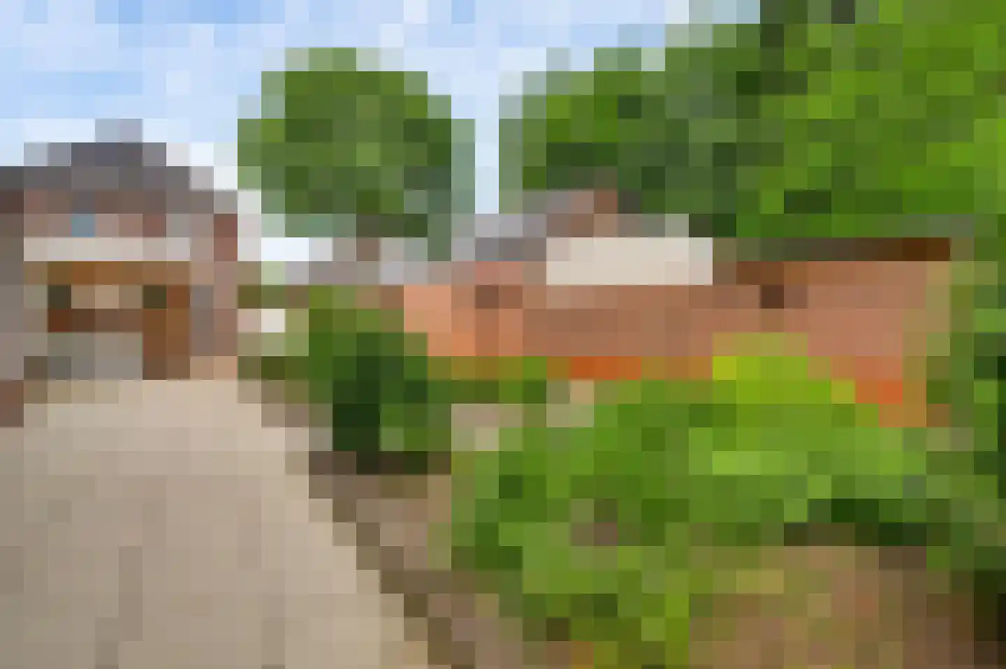 Locht 71 Veldhoven thumbnail 26