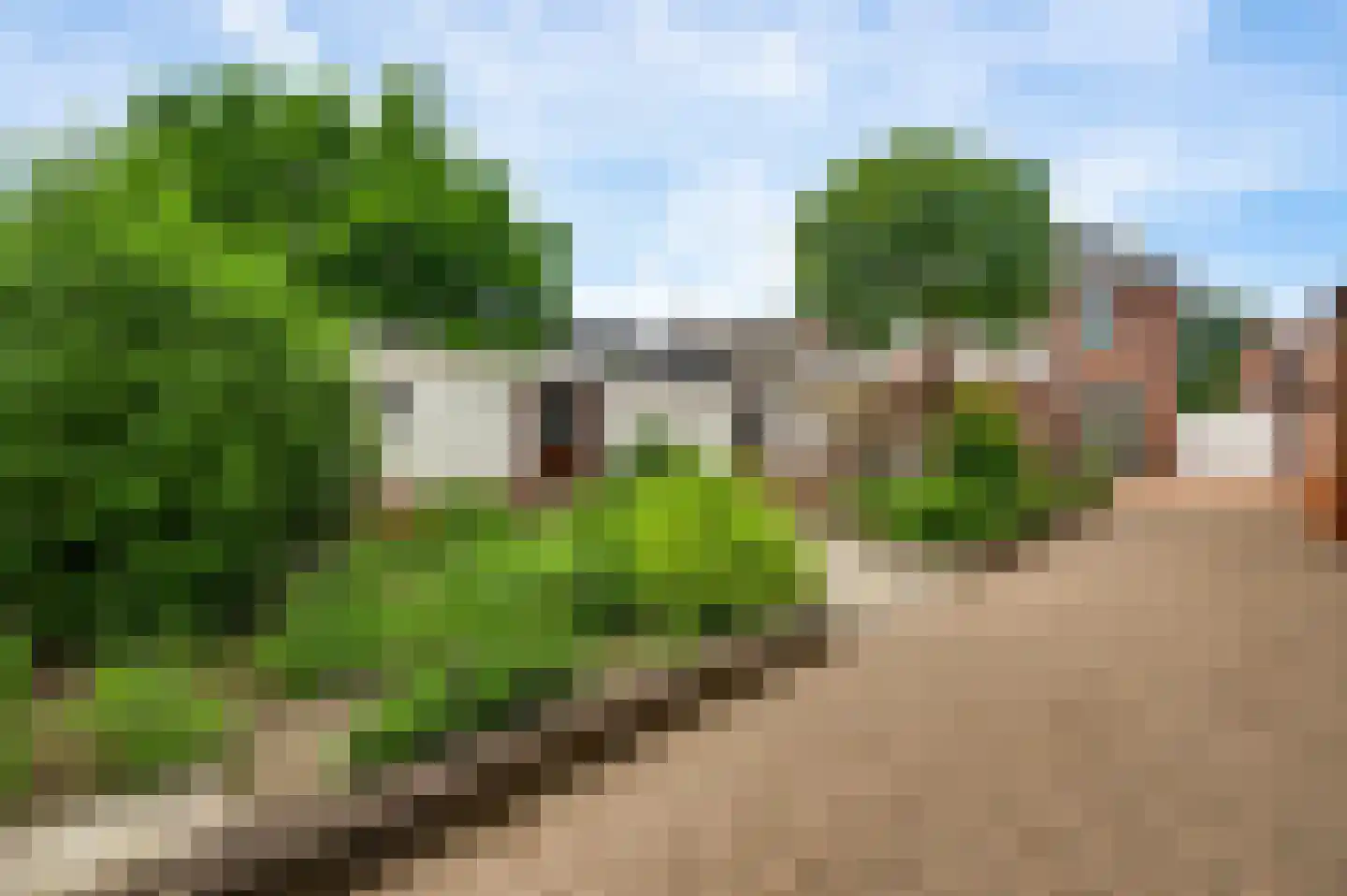 Locht 71 Veldhoven thumbnail 27