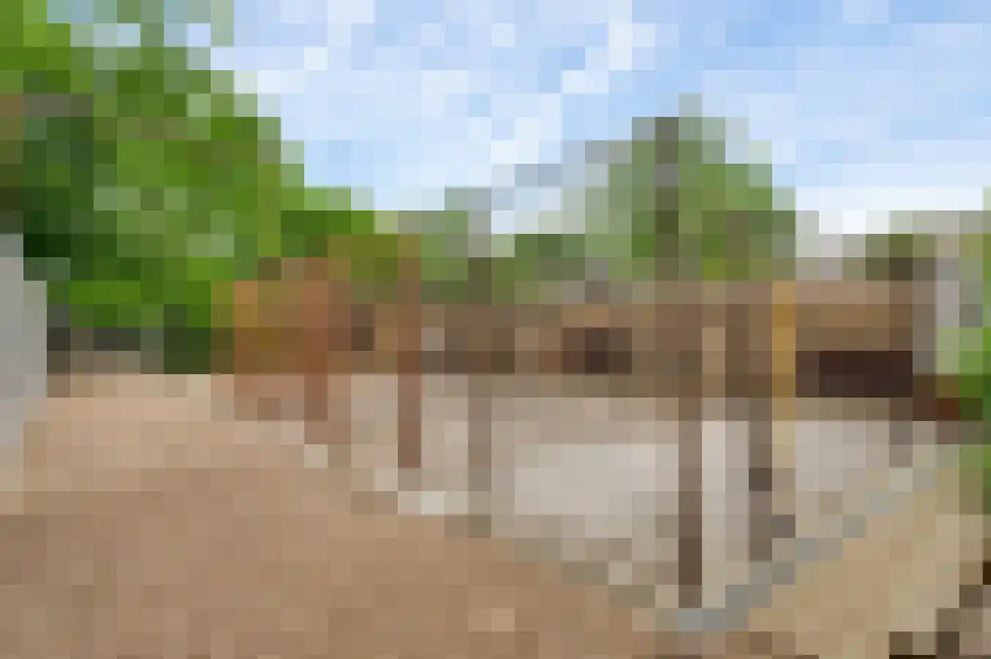 Locht 71 Veldhoven thumbnail 28