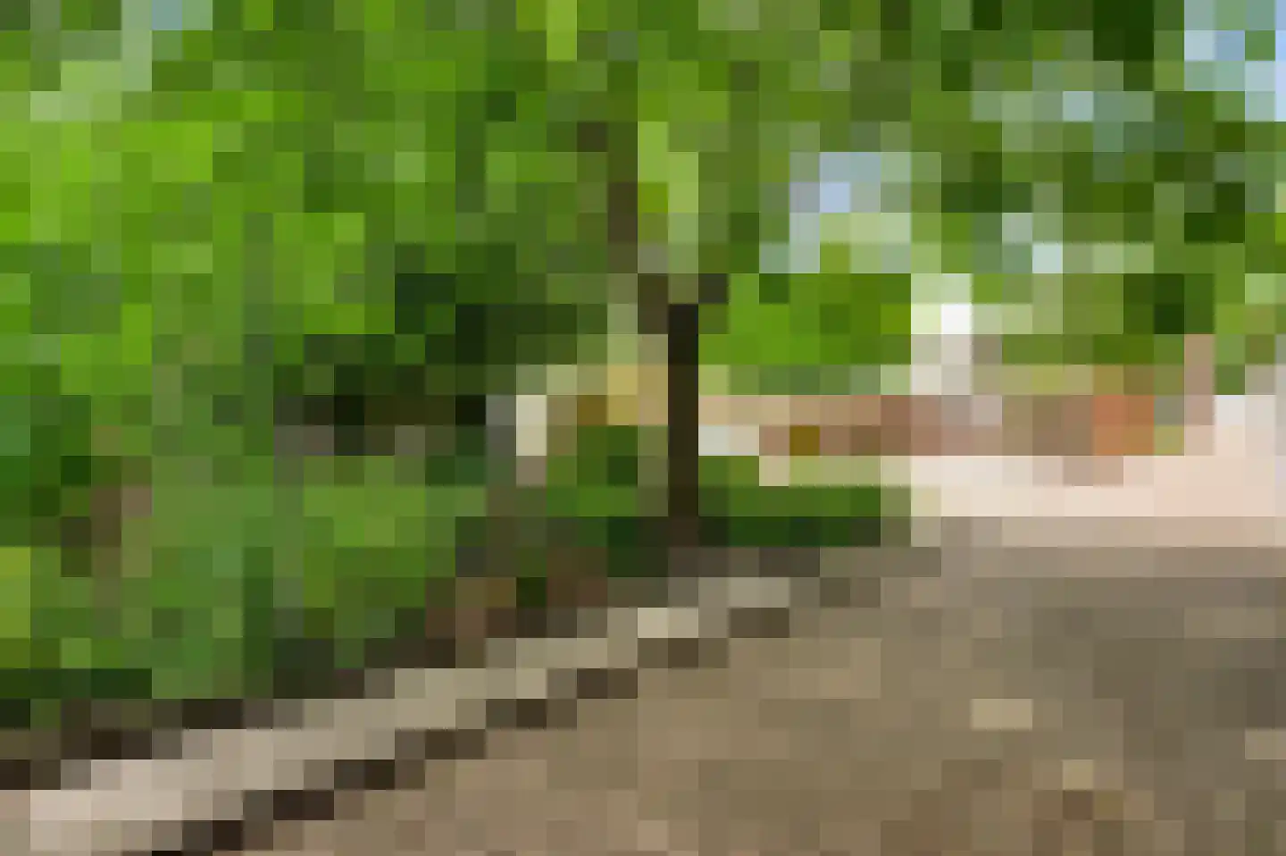 Locht 71 Veldhoven thumbnail 30