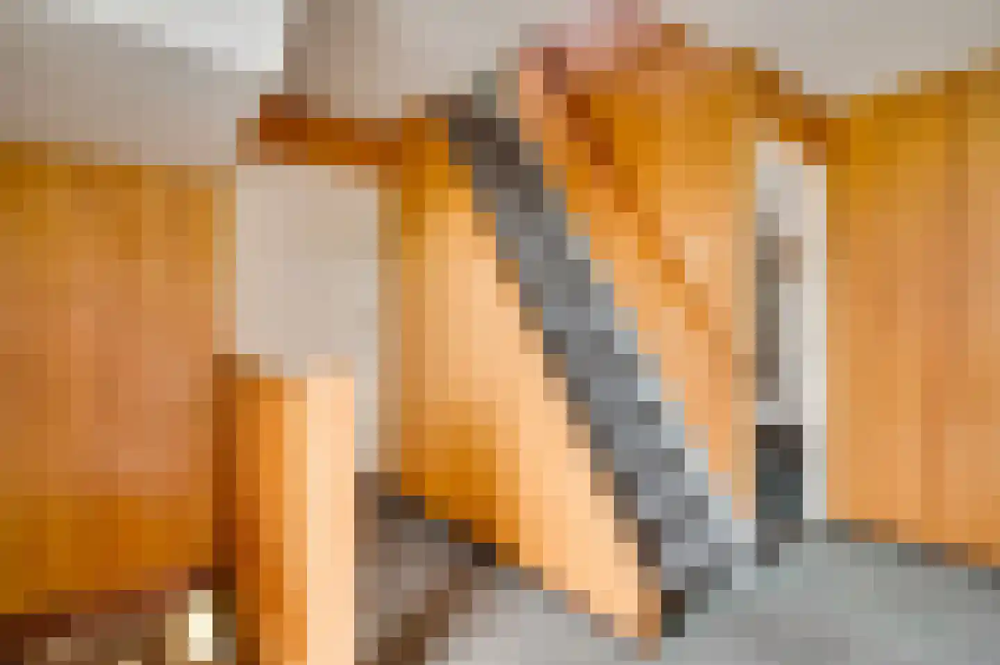 Locht 71 Veldhoven thumbnail 33