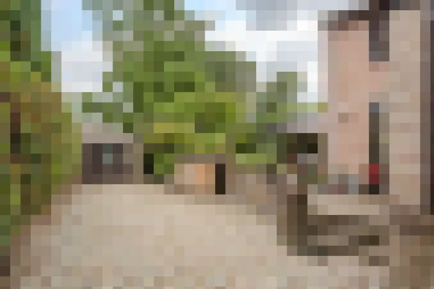Locht 83 Veldhoven thumbnail 24